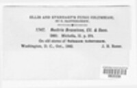 Image Associated With the Occurrence